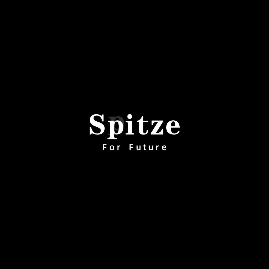 spitze-mech.com